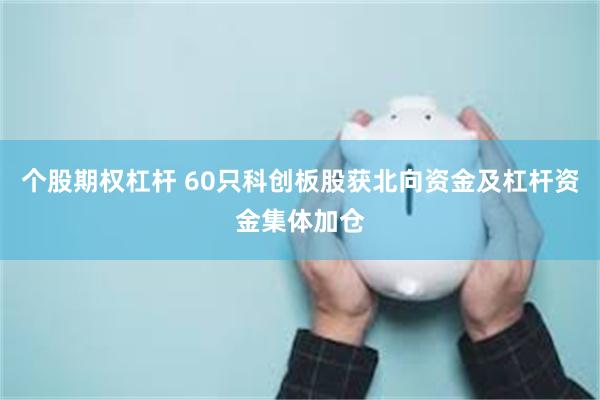 个股期权杠杆 60只科创板股获北向资金及杠杆资金集体加仓