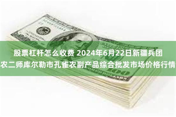 股票杠杆怎么收费 2024年6月22日新疆兵团农二师库尔勒市孔雀农副产品综合批发市场价格行情