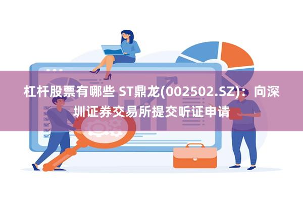 杠杆股票有哪些 ST鼎龙(002502.SZ)：向深圳证券交易所提交听证申请