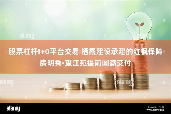 股票杠杆t+0平台交易 栖霞建设承建的红枫保障房明秀·望江苑提前圆满交付