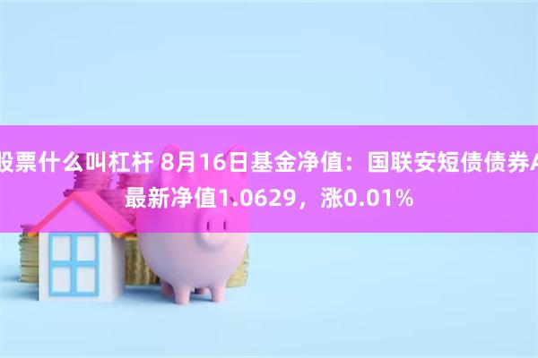 股票什么叫杠杆 8月16日基金净值：国联安短债债券A最新净值1.0629，涨0.01%