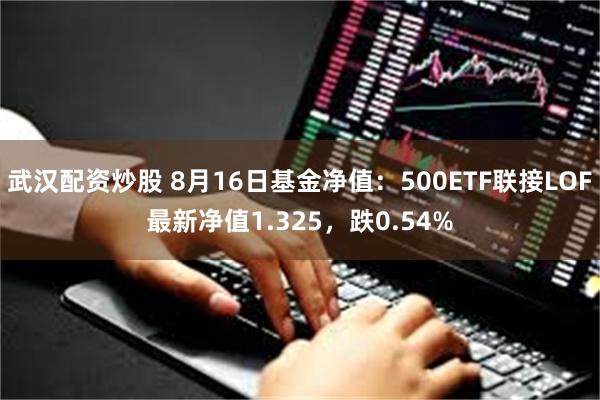 武汉配资炒股 8月16日基金净值：500ETF联接LOF最新净值1.325，跌0.54%