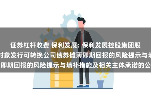 证券杠杆收费 保利发展: 保利发展控股集团股份有限公司关于向特定对象发行可转换公司债券摊薄即期回报的风险提示与填补措施及相关主体承诺的公告