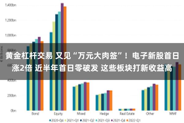 黄金杠杆交易 又见“万元大肉签”！电子新股首日涨2倍 近半年首日零破发 这些板块打新收益高