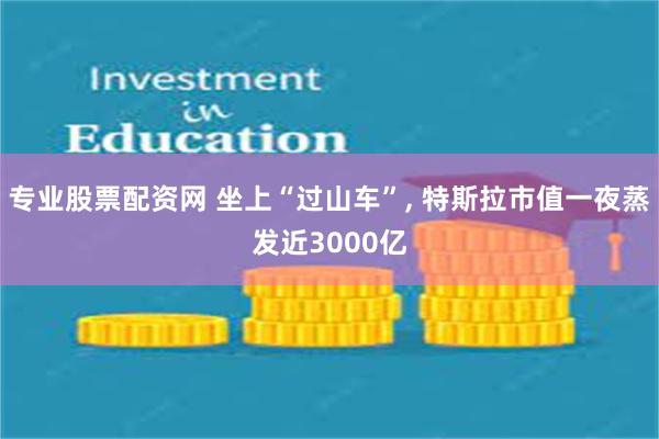 专业股票配资网 坐上“过山车”, 特斯拉市值一夜蒸发近3000亿