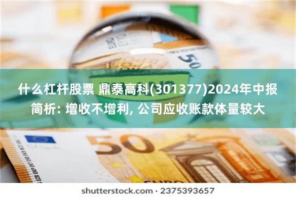 什么杠杆股票 鼎泰高科(301377)2024年中报简析: 增收不增利, 公司应收账款体量较大