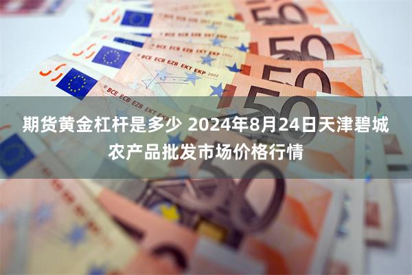 期货黄金杠杆是多少 2024年8月24日天津碧城农产品批发市场价格行情