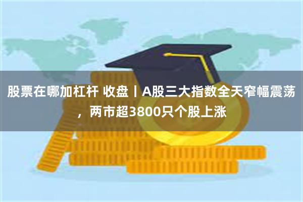 股票在哪加杠杆 收盘丨A股三大指数全天窄幅震荡，两市超3800只个股上涨