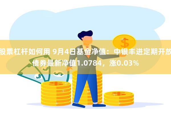 股票杠杆如何用 9月4日基金净值：中银丰进定期开放债券最新净值1.0784，涨0.03%