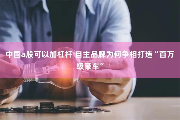 中国a股可以加杠杆 自主品牌为何争相打造“百万级豪车”