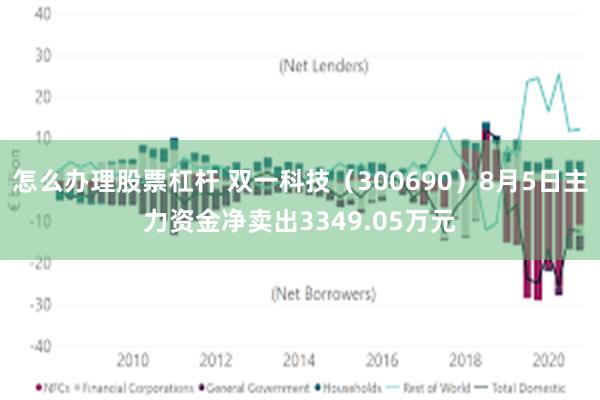 怎么办理股票杠杆 双一科技（300690）8月5日主力资金净卖出3349.05万元