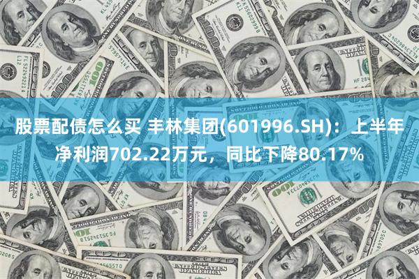 股票配债怎么买 丰林集团(601996.SH)：上半年净利润702.22万元，同比下降80.17%