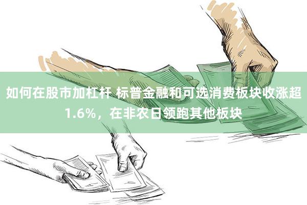 如何在股市加杠杆 标普金融和可选消费板块收涨超1.6%，在非农日领跑其他板块