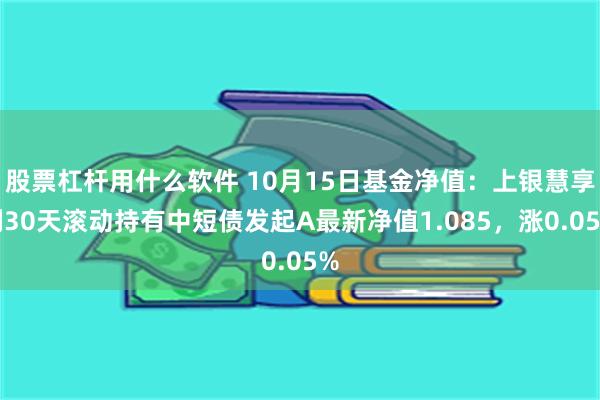 股票杠杆用什么软件 10月15日基金净值：上银慧享利30天滚动持有中短债发起A最新净值1.085，涨0.05%