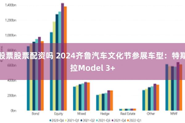 股票股票配资吗 2024齐鲁汽车文化节参展车型：特斯拉Model 3+