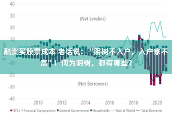 融资买股票成本 老话说：“阴树不入户，入户家不富”！何为阴树，都有哪些？