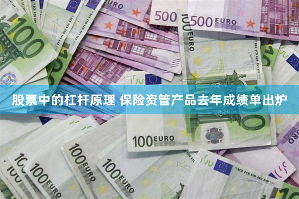 股票中的杠杆原理 保险资管产品去年成绩单出炉