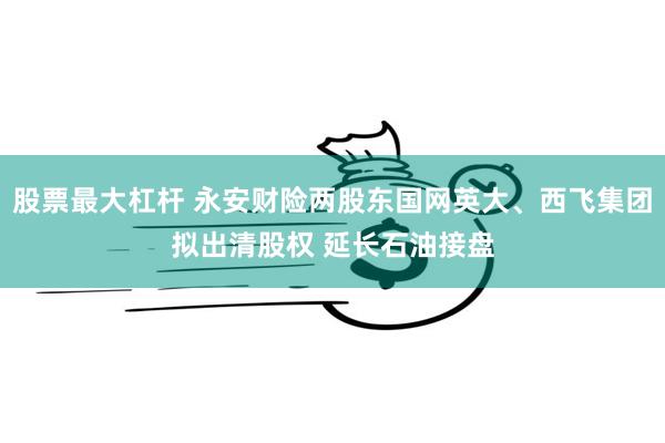 股票最大杠杆 永安财险两股东国网英大、西飞集团拟出清股权 延长石油接盘