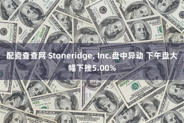 配资查查网 Stoneridge, Inc.盘中异动 下午盘大幅下挫5.00%