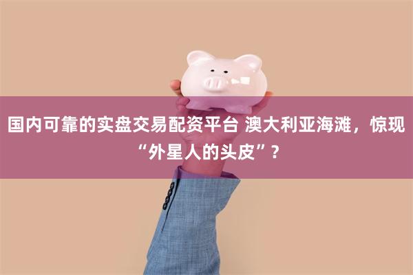 国内可靠的实盘交易配资平台 澳大利亚海滩，惊现“外星人的头皮”？