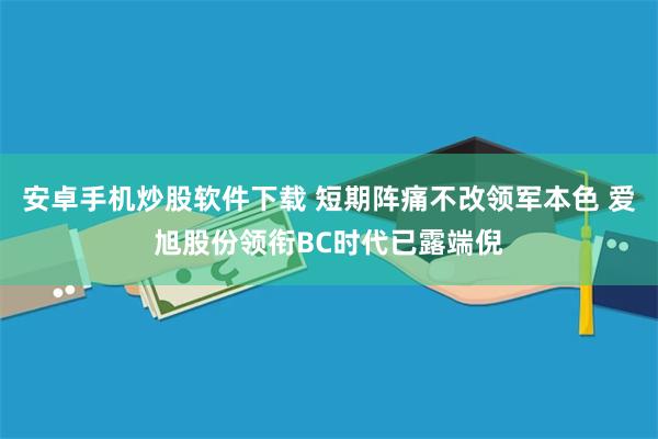 安卓手机炒股软件下载 短期阵痛不改领军本色 爱旭股份领衔BC时代已露端倪