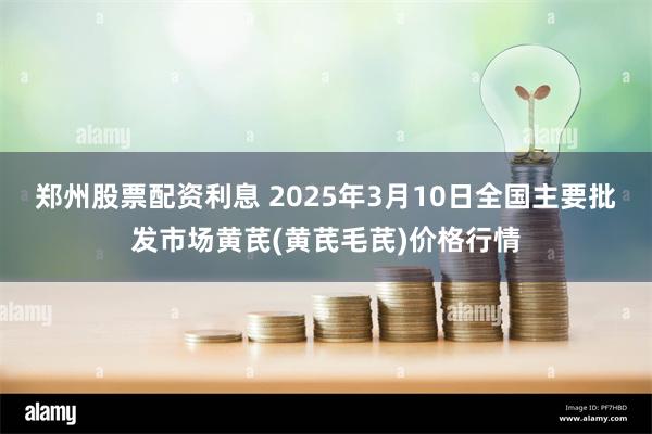 郑州股票配资利息 2025年3月10日全国主要批发市场黄芪(黄芪毛芪)价格行情